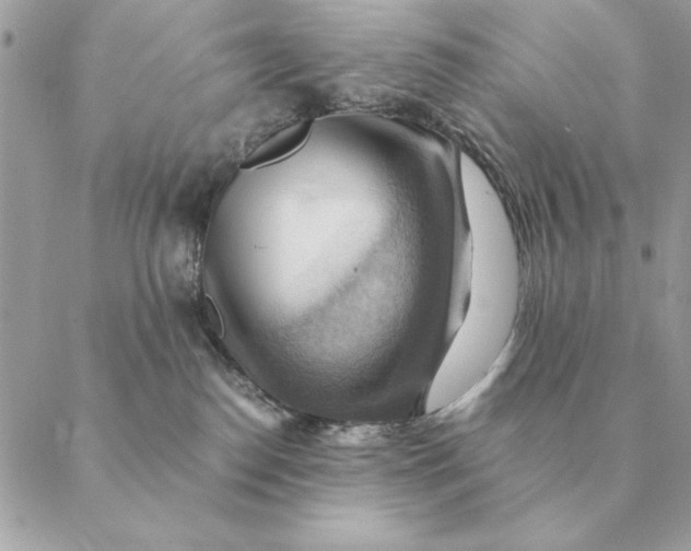 X0000088600186200706151810