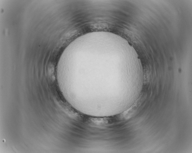 X0000088600187200706151810