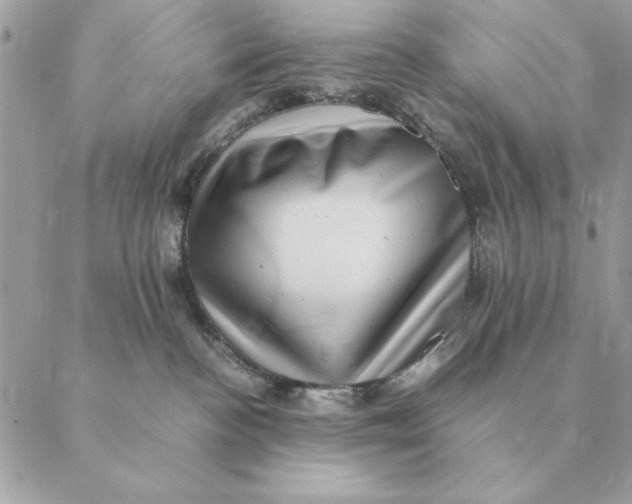 X0000088600188200706151810