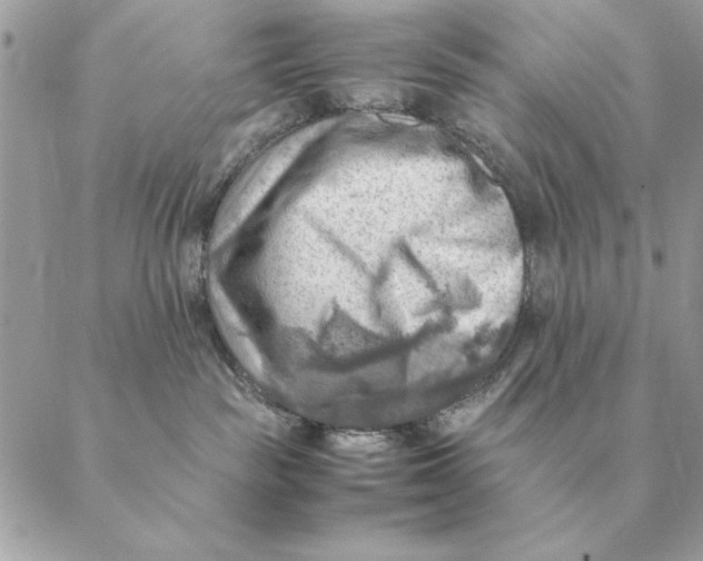 X0000088600189200706151810