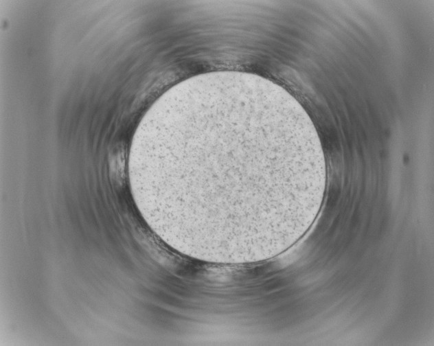 X0000088600190200706151810