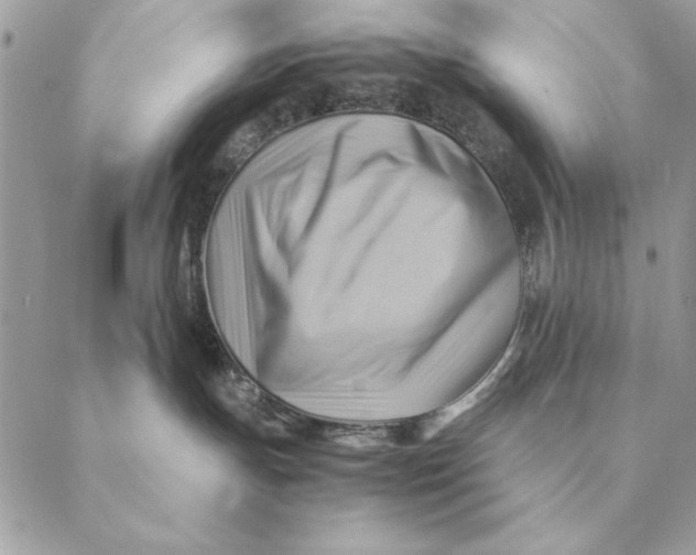 X0000088600191200706151810