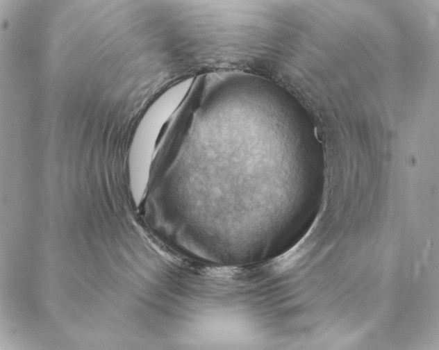 X0000088600192200706151810