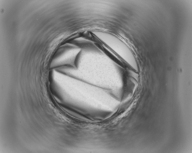 X0000088600193200706151810