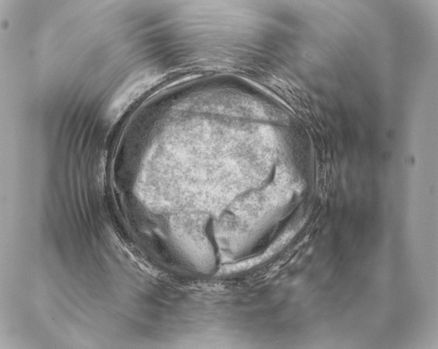 X0000088600194200706151810