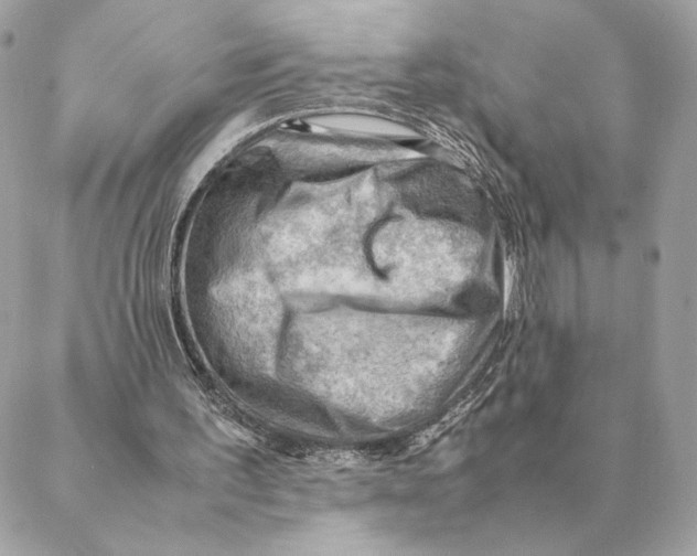 X0000088600195200706151810