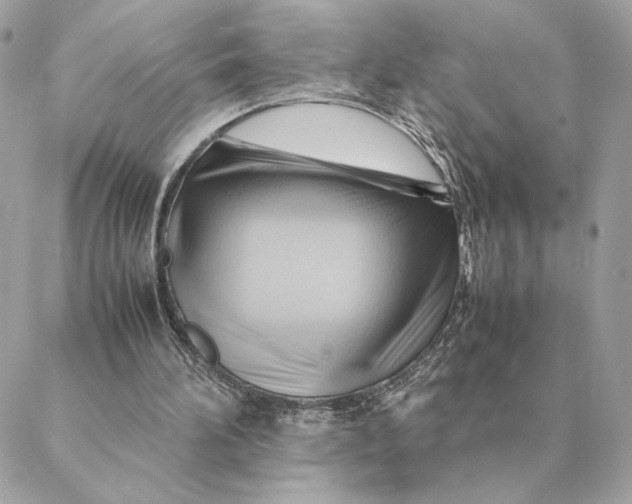 X0000088600196200706151810