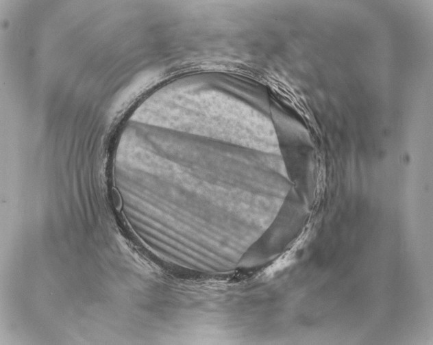 X0000088600197200706151810