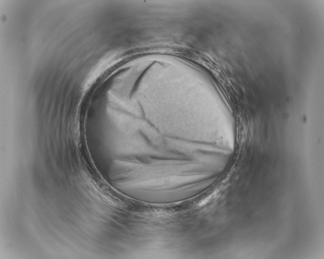 X0000088600198200706151810