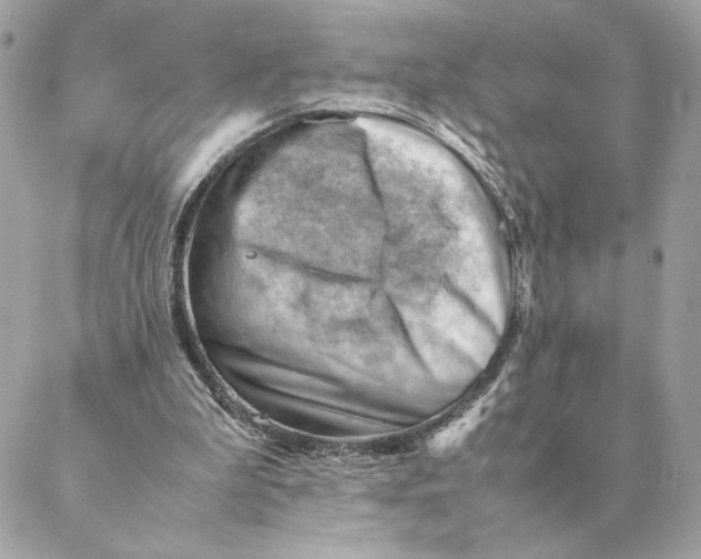 X0000088600199200706151810