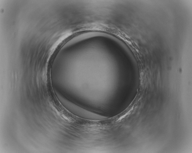 X0000088600200200706151810