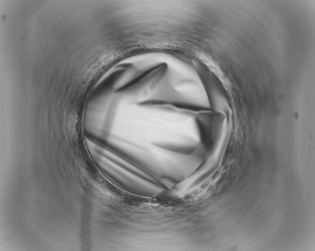 X0000088600201200706151810