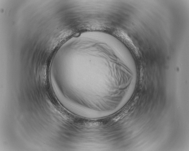 X0000088600202200706151810