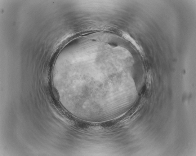 X0000088600203200706151810