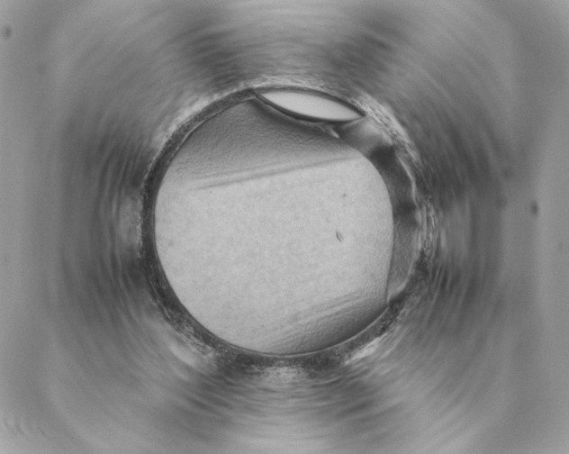 X0000088600204200706151810