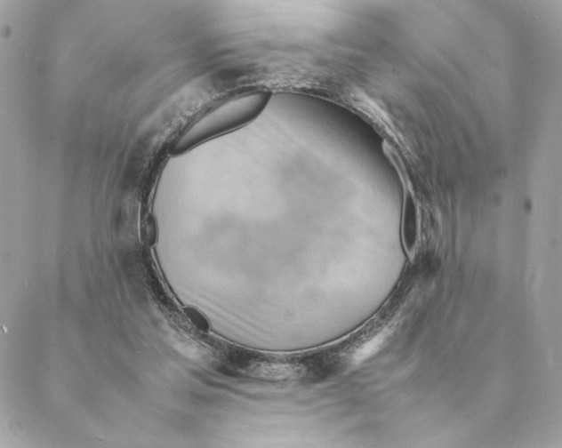 X0000088600205200706151809