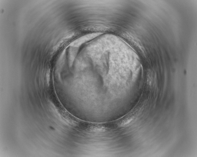 X0000088600206200706151809