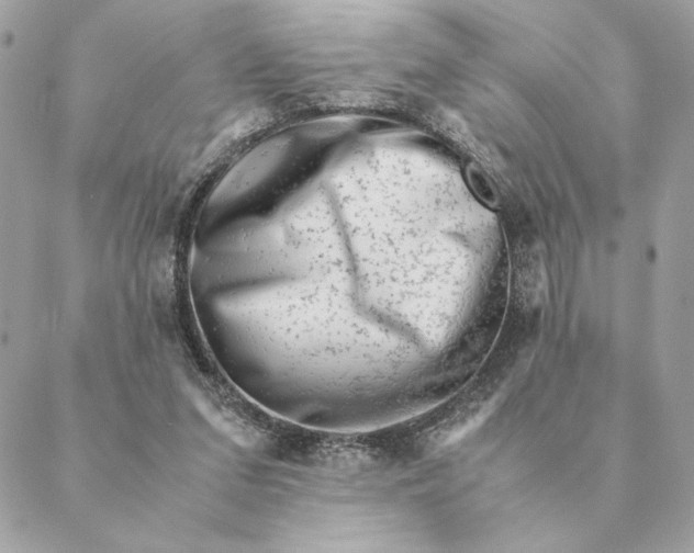 X0000088600207200706151809