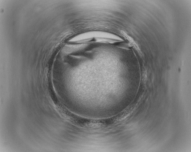 X0000088600209200706151809