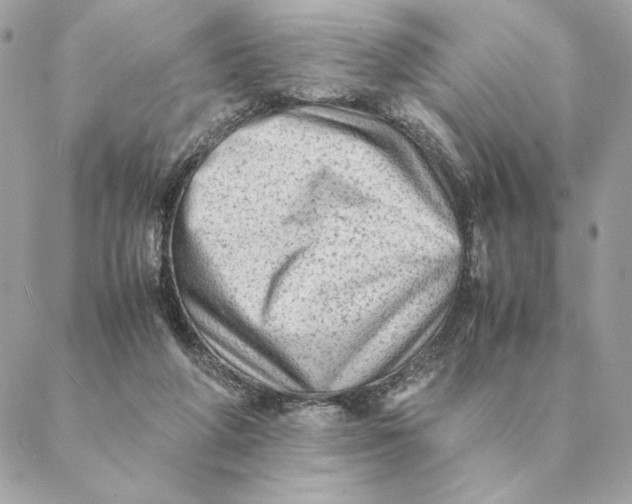 X0000088600210200706151809