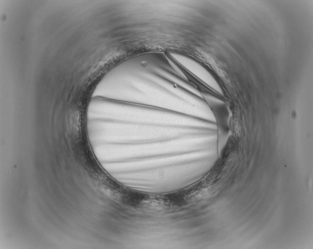 X0000088600211200706151809