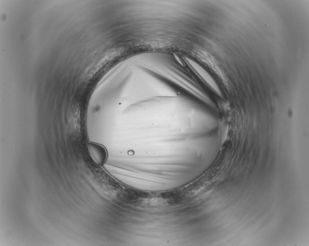 X0000088600212200706151809