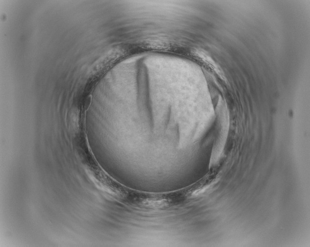 X0000088600213200706151809