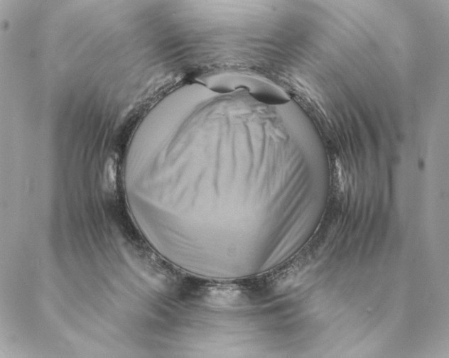 X0000088600214200706151809