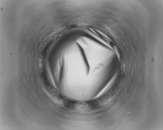 X0000088600215200706151809