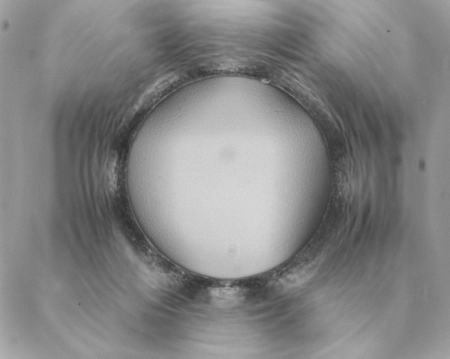 X0000088600216200706151809