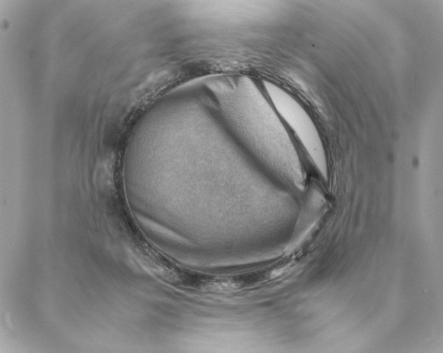 X0000088600217200706151809