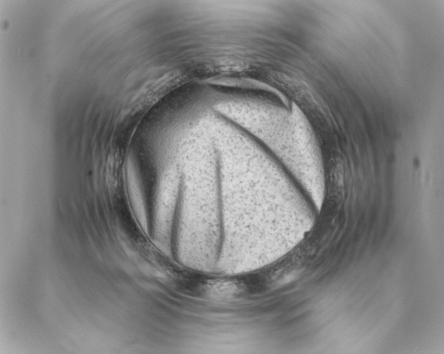 X0000088600218200706151809