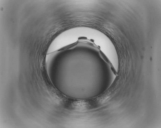 X0000088600219200706151809