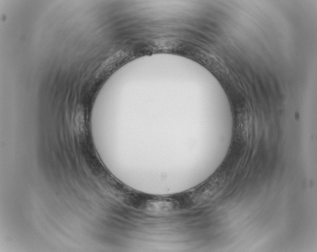 X0000088600220200706151809