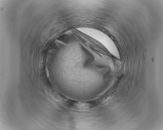 X0000088600221200706151809