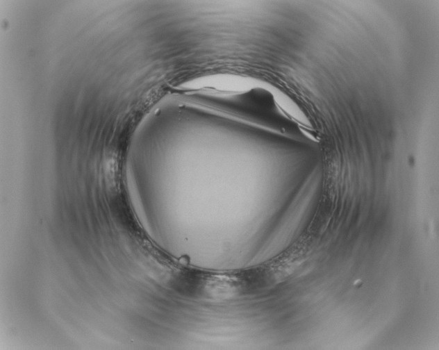 X0000088600222200706151809