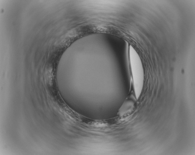 X0000088600223200706151809