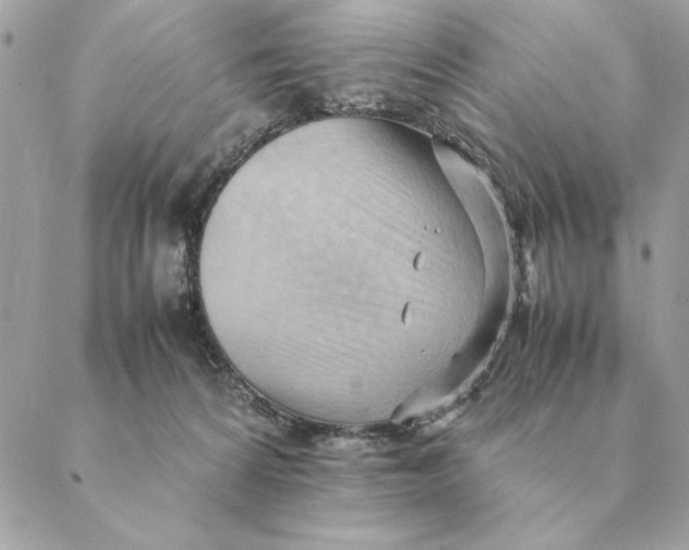 X0000088600224200706151809