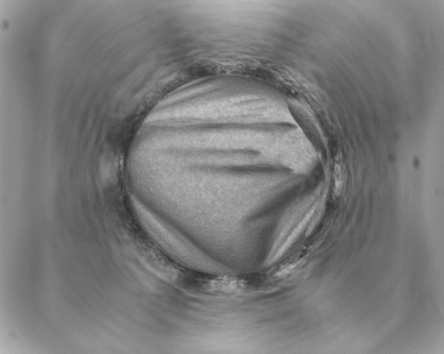 X0000088600225200706151809