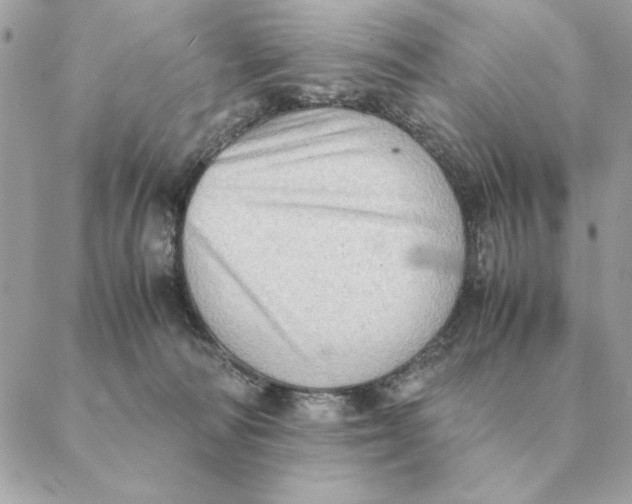 X0000088600226200706151809