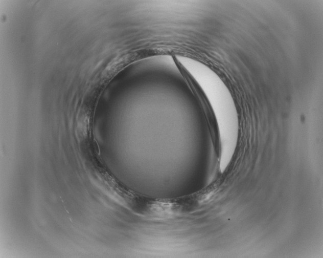 X0000088600227200706151809