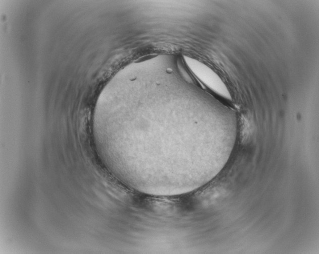 X0000088600229200706151809