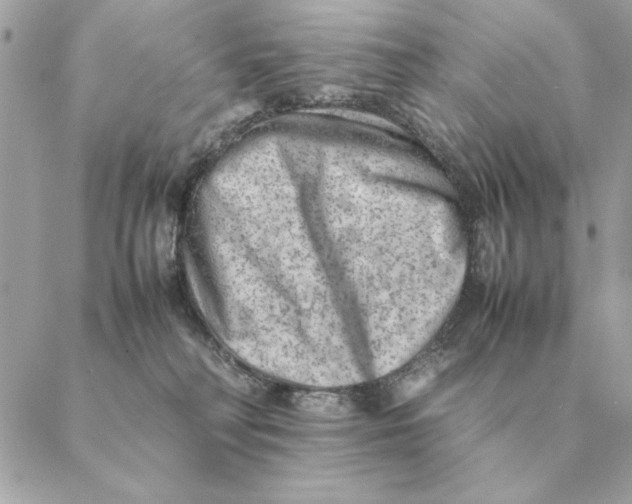 X0000088600230200706151809