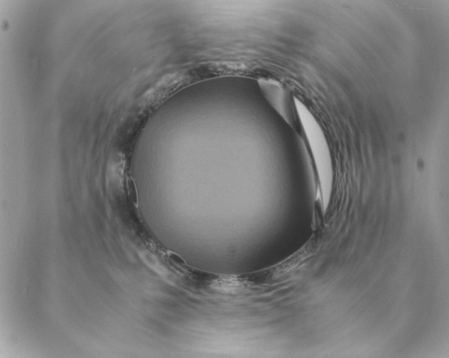 X0000088600231200706151809