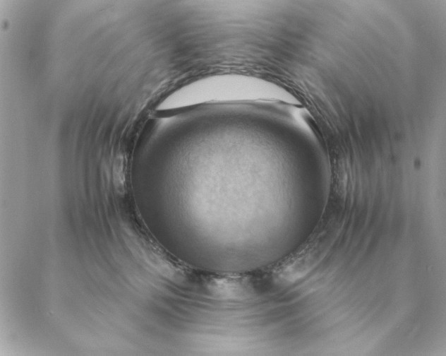 X0000088600232200706151809