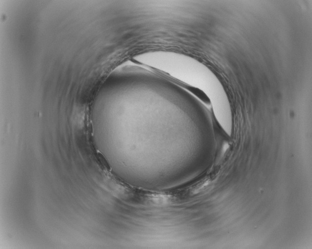 X0000088600233200706151809