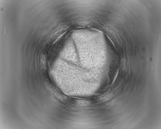 X0000088600234200706151809