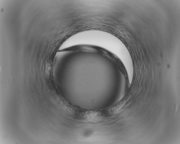 X0000088600235200706151809