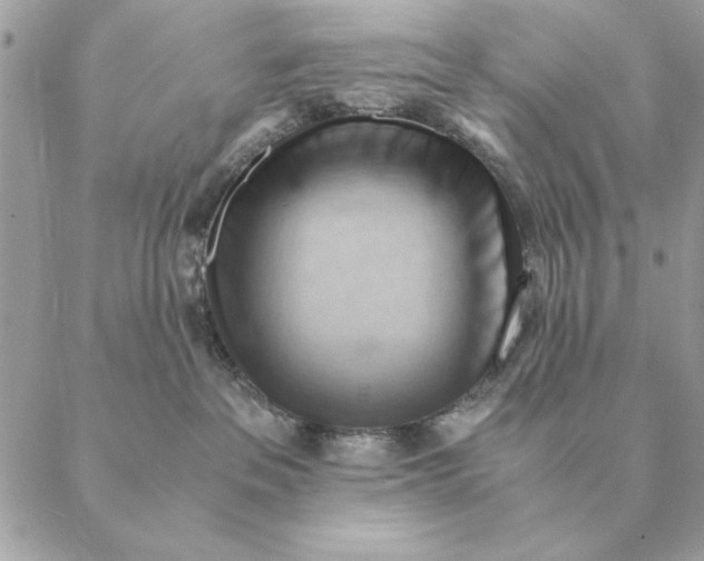 X0000088600237200706151809