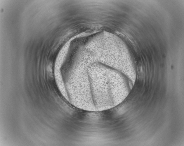 X0000088600238200706151809